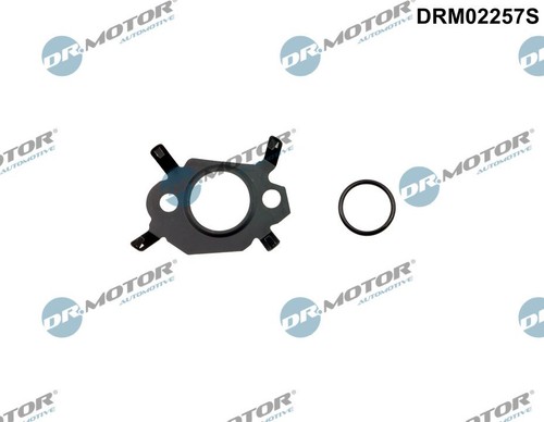 Motor automotive drm02257s - dr.motor,