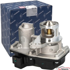 PIERBURG Abgasrückführung